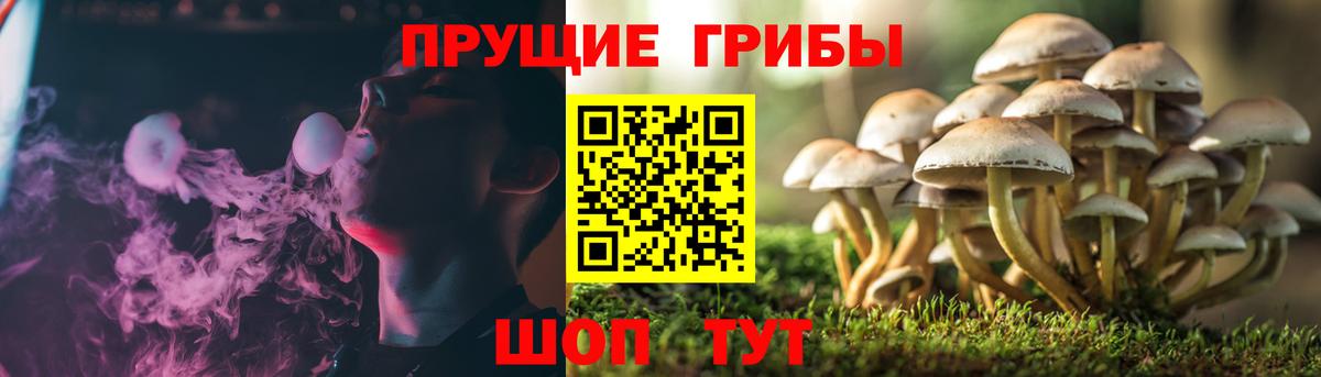Галлюциногенные грибы ЛСД  Вход с VPN  Кунгур 