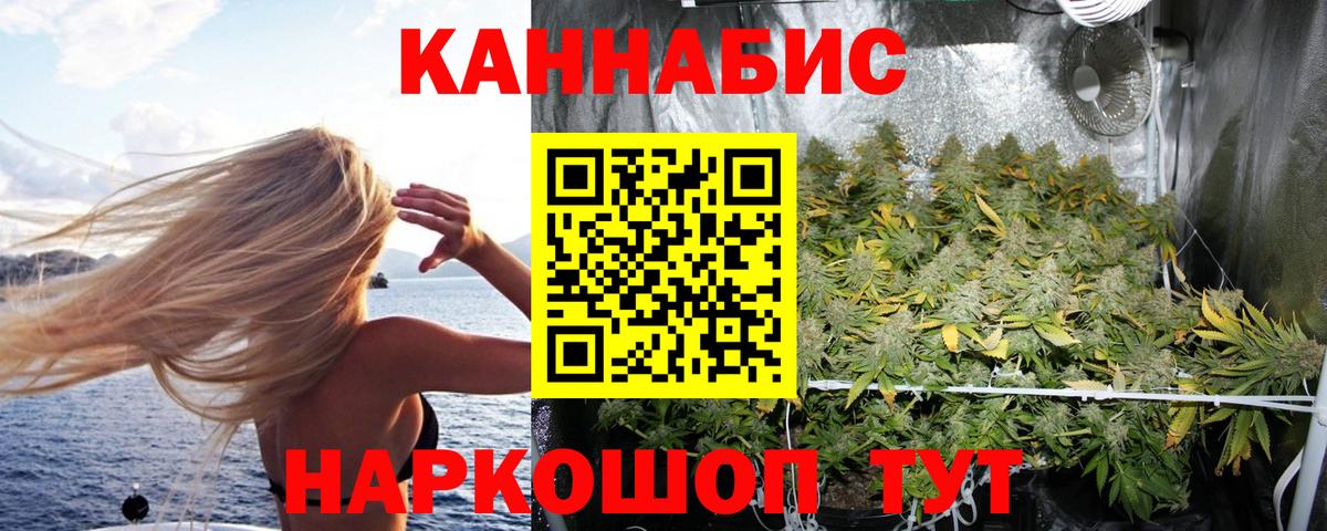 Бошки Шишки тримм  Вход с VPN  Бошки Шишки индика  Каннабис OG Kush  Кунгур  Конопля Bruce Banner 
